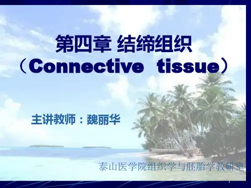 结缔组织、软骨和骨本-PPT课件