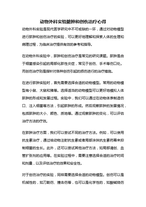 动物外科实验脓肿和创伤治疗心得