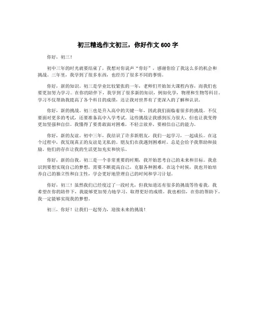 初三精选作文初三,你好作文600字