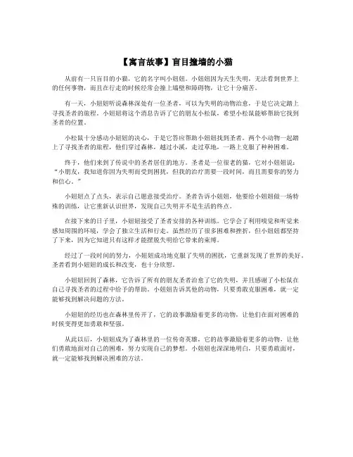 【寓言故事】盲目撞墙的小猫