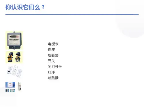 家庭电路与安全用电常识
