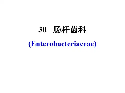 肠杆菌科(Enterobacteriaceae)总结