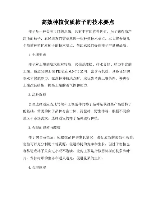 高效种植优质柿子的技术要点