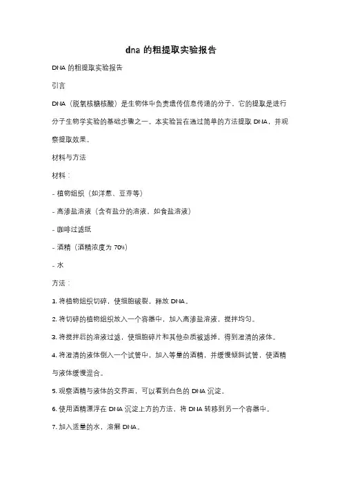 dna的粗提取实验报告