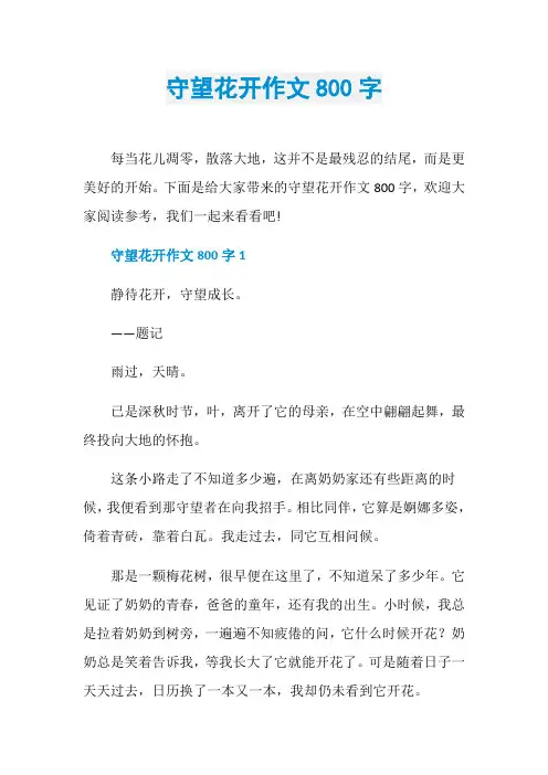 守望花开作文800字