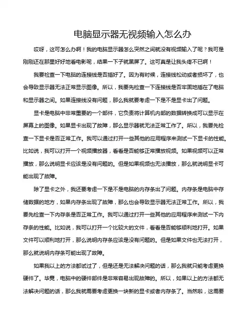 电脑显示器无视频输入怎么办