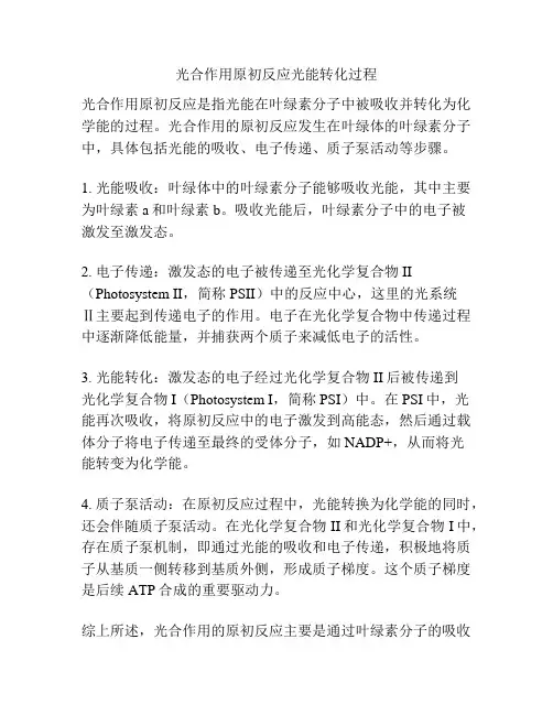 光合作用原初反应光能转化过程