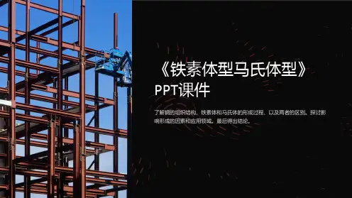 《铁素体型马氏体型》课件