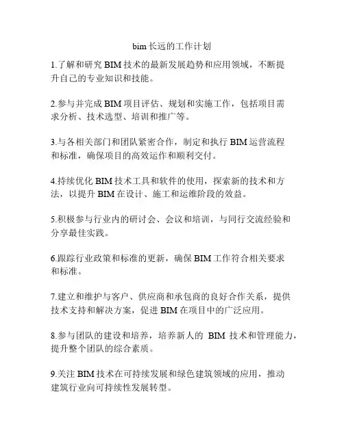 bim长远的工作计划
