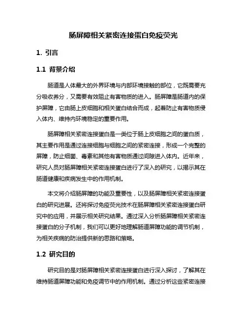 肠屏障相关紧密连接蛋白免疫荧光