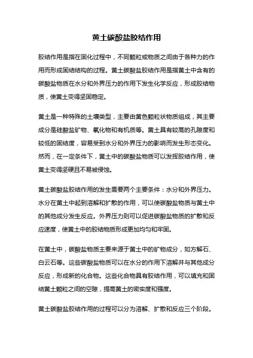 黄土碳酸盐胶结作用