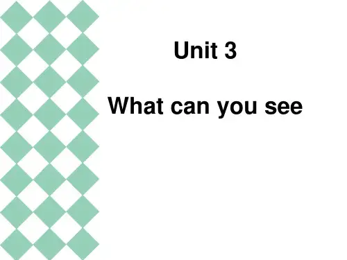 Unit3Whatcanyousee？(课件)湘少版英语四年级下册