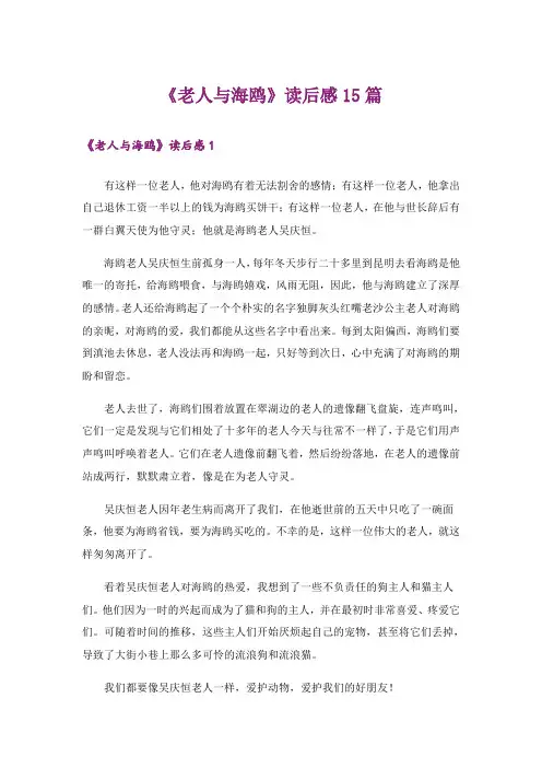 《老人与海鸥》读后感15篇
