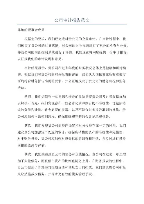 公司审计报告范文