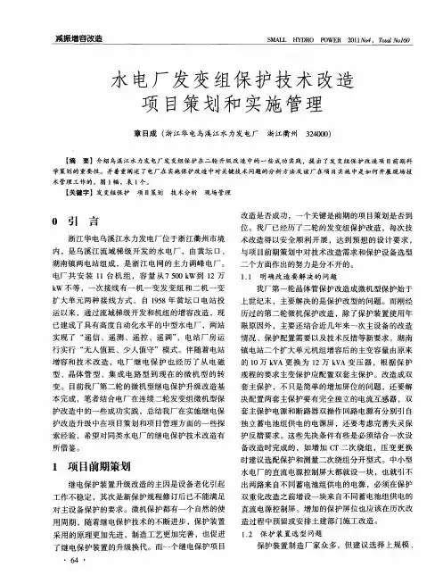 水电厂发变组保护技术改造项目策划和实施管理
