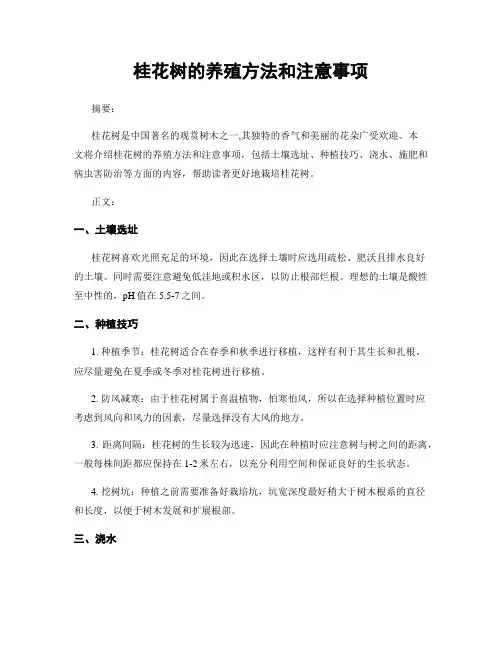 桂花树的养殖方法和注意事项