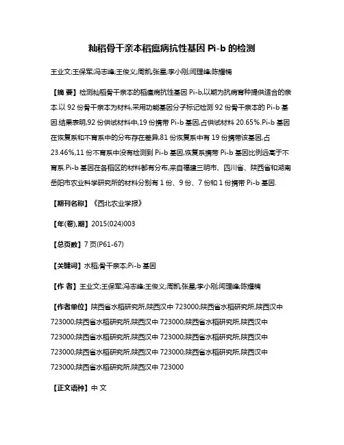籼稻骨干亲本稻瘟病抗性基因Pi-b的检测