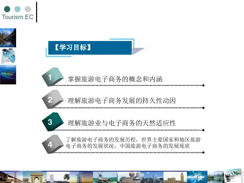 旅游电子商务_旅游电子商务概述