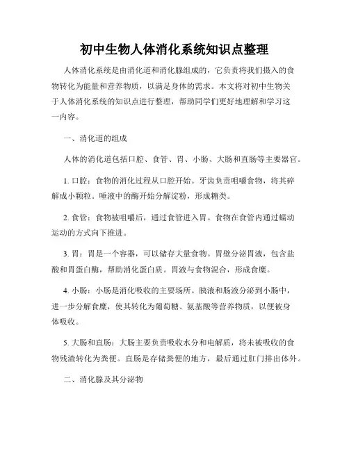 初中生物人体消化系统知识点整理