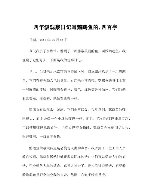四年级观察日记写鹦鹉鱼的,四百字