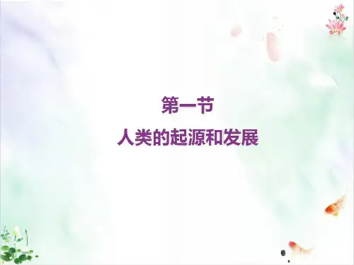 初中生物人教版《人类的起源和发展》精美教学课件