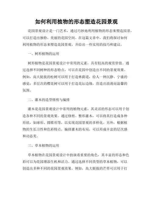 如何利用植物的形态塑造花园景观
