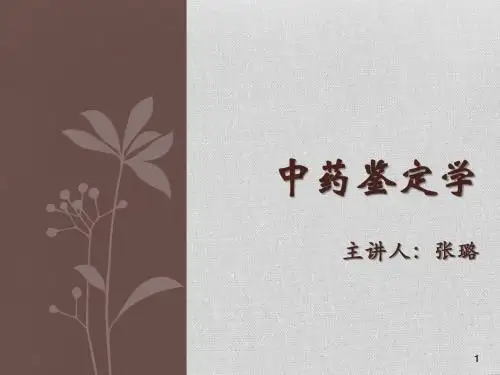 药工-中药鉴定学2-2