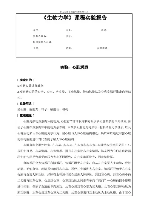 心脏实验