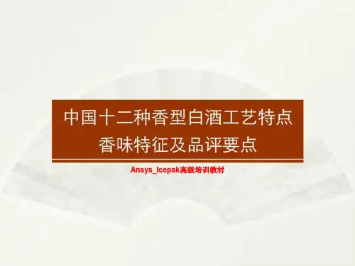 Ansys_Icepak高级培训教材