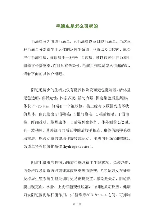 毛滴虫是怎么引起的