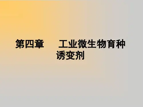 第四章  工业微生物育种诱变剂