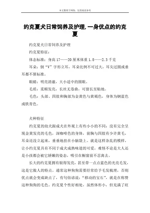 约克夏犬日常饲养及护理,一身优点的约克夏