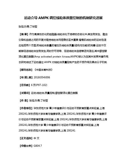 运动介导AMPK调控线粒体质量控制的机制研究进展
