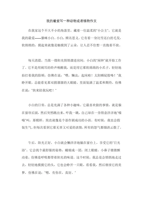 我的最爱写一种动物或者植物作文