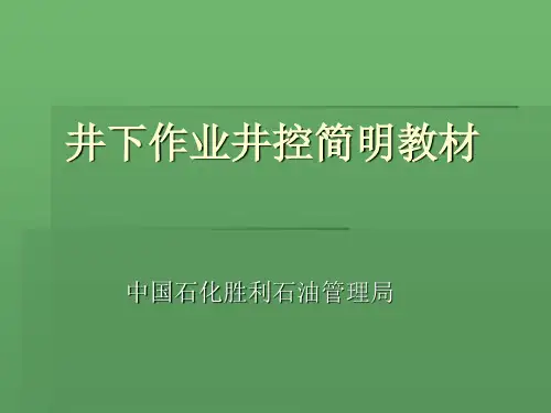 井下作业井控简明教材