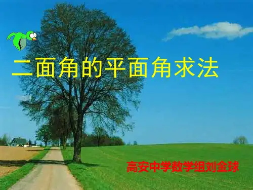 《二面角的平面角求法》课件
