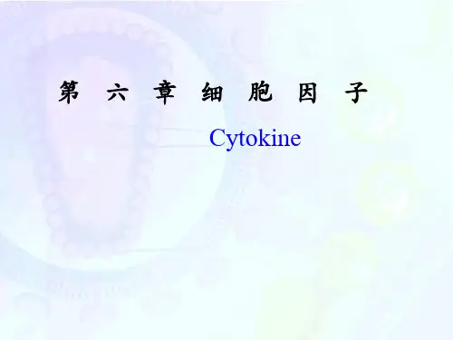 鱼类免疫学课件6-细胞因子