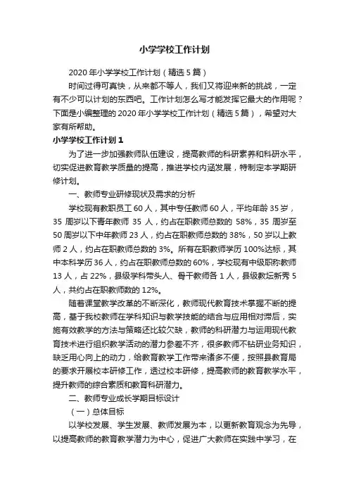 2020年小学学校工作计划（精选5篇）