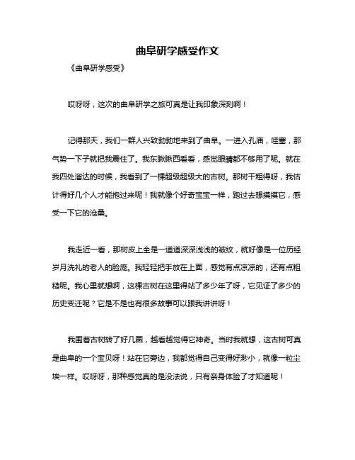 曲阜研学感受作文