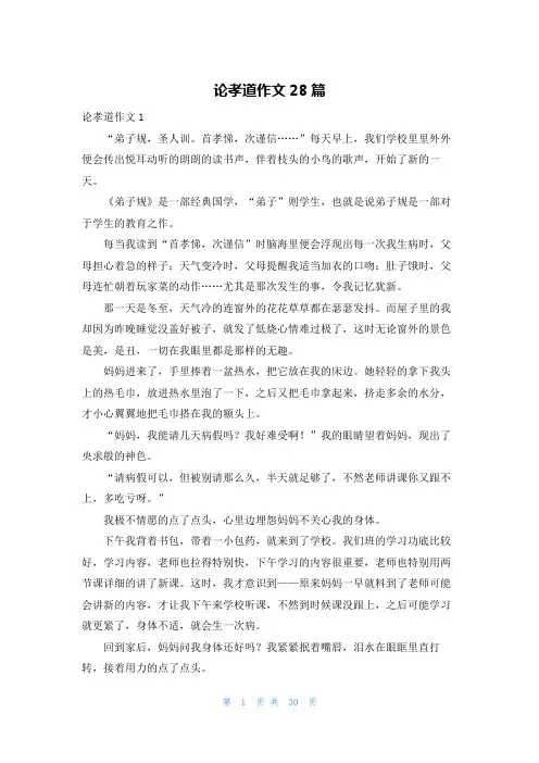 论孝道作文28篇
