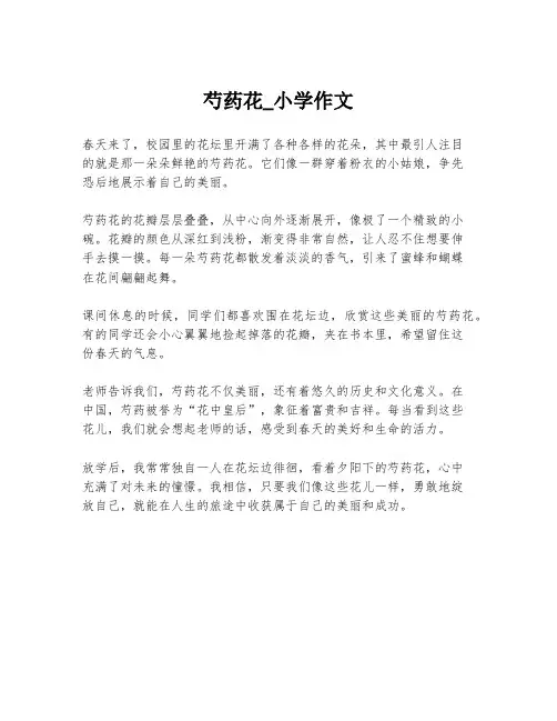 芍药花_小学作文
