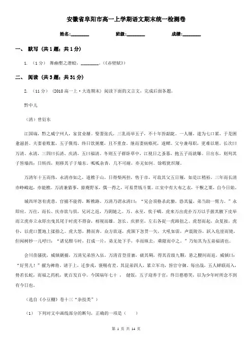 安徽省阜阳市高一上学期语文期末统一检测卷