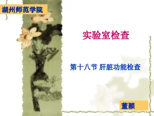 健康评估 肝肾功能检查