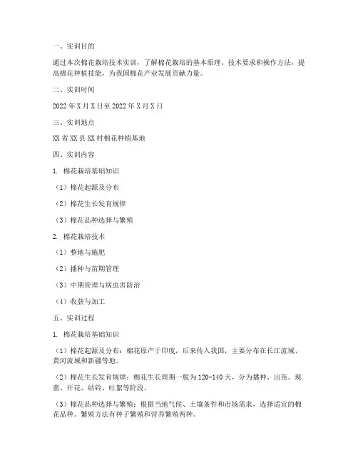 棉花栽培技术实训报告范文
