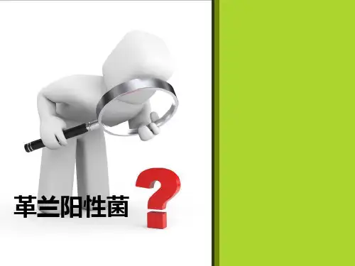 革兰阳性菌ppt课件