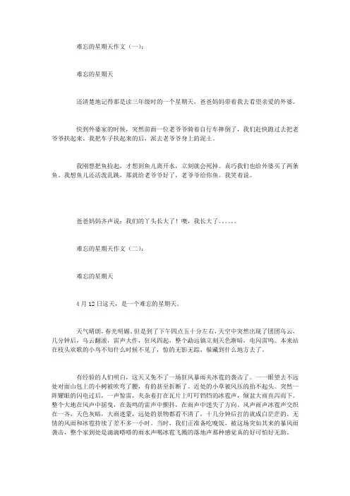 难忘的星期天作文15篇
