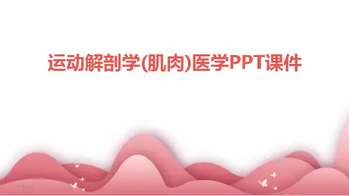 2024版运动解剖学(肌肉)医学PPT课件
