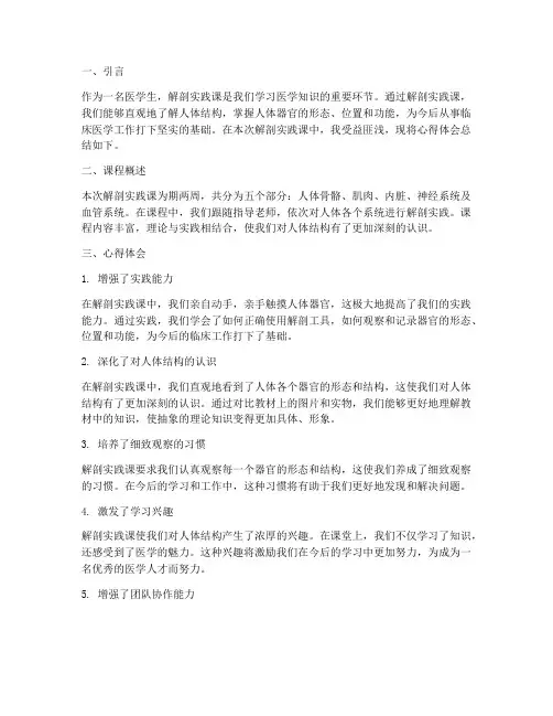 解剖实践课心得体会总结