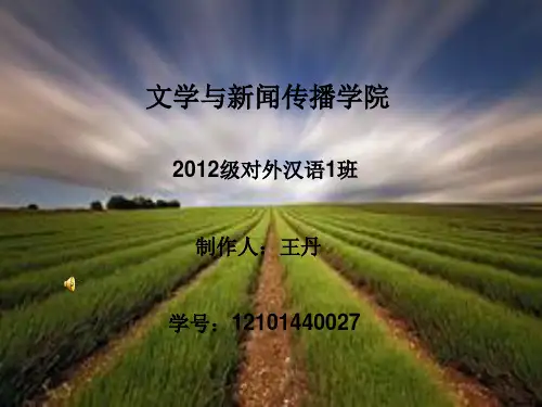 马克思作业的PPT