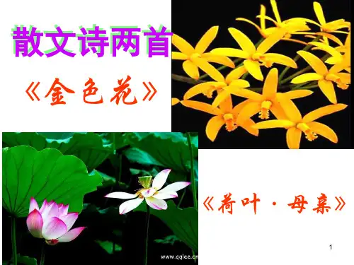 散文诗两首PPT演示课件